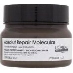 L´Oréal Professionnel Maska pro poškozené vlasy Absolute Repair Molecular Professional Mask 250 ml – Hledejceny.cz