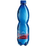 Magnesia perlivá 12 x 0,5 l – Sleviste.cz