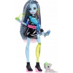 Mattel Monster High Panenka monsterka Robecca – Zboží Dáma