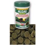 Prodac Algae Wafers 50 g – Hledejceny.cz