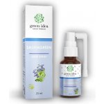 Green idea Salviagreen 25 ml – Zboží Dáma