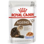Royal Canin Feline Ageing 12 + Jelly 12 x 85 g – Hledejceny.cz