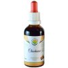 Doplněk stravy Salvia Paradise Chuchuasi tinktura bez alkoholu 50 ml