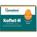 Himalaya Koflet H Ginger 12 pastilek – Hledejceny.cz
