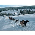 Mushing - jízda psím spřežením v Krkonoších – Hledejceny.cz