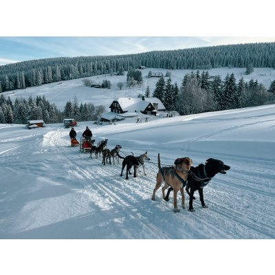 Mushing - jízda psím spřežením v Krkonoších – Hledejceny.cz