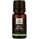Flagrante vonný olej Máta peprná 10 ml – Hledejceny.cz