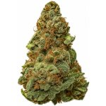 KlonyKonopí.cz CBD Lifter Czech indoor THC do 1% 5 g – Sleviste.cz