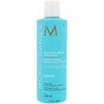 Moroccanoil Moisture Repair Shampoo 250 ml – Zboží Mobilmania