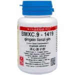Sinecura BMXC.9 qingxin lianzi yin 60 tablet – Hledejceny.cz