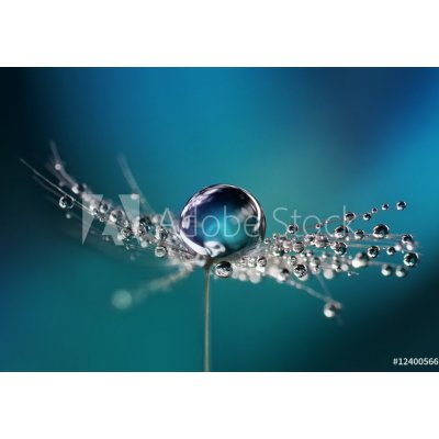 WEBLUX Fototapeta papír Beautiful dew drops on a dandelion seed macro. Beautiful soft light blue and violet background. Water drops on a parachutes dandelion on a beautif 184 x 128 cm