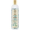 Šampon Natura Siberica Mint Bereza & Retinol šampon pro mastné vlasy 400 ml