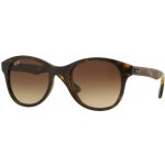 Ray-Ban RB4203 710 13 – Hledejceny.cz