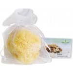 Caribbean Sun Menstruační mořská houba Intim 6-7cm – Zboží Mobilmania