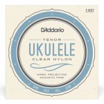 D'addario EJ65T – Sleviste.cz