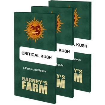 Barney's Farm Critical Kush semena neobsahují THC 10 ks