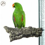 Back Zoo Nature Super bidlo L – Zboží Dáma