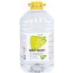 Kittfort Bílý ocet 10% 5 l – Zboží Dáma