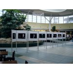 EXPOINT Výstavní stěna ELEGANT typ C 100 x 100 cm – Zboží Dáma