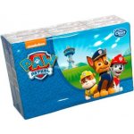 Clean Paw Patrol papírové kapesníčky s potiskem 4-vrstvé 6 ks – Zboží Dáma