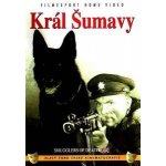 Král Šumavy DVD – Hledejceny.cz