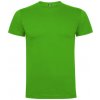 Pánské Tričko Roly tričko DOGO PREMIUM 165g E6502-83 tráva Zelená