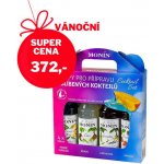 Monin Cocktail box 4 x 250 ml – Hledejceny.cz