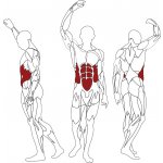 BH Fitness L800 – Zboží Dáma