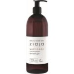 Ziaja Baltic Home Spa Fit sprchový gel 500 ml – Hledejceny.cz