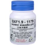 Sinecura BXF 1.9 wuwei xiaodu yin 60 tablet – Hledejceny.cz