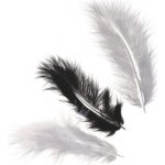 Knorr Peříčka (15ks) černo bílý mix 4g Marabu – Hledejceny.cz