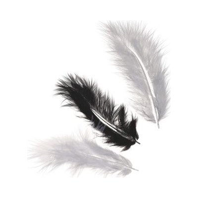 Knorr Peříčka (15ks) černo bílý mix 4g Marabu – Hledejceny.cz