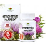 Ekomedica Ostropestřec mariánský 60 kapslí – Hledejceny.cz