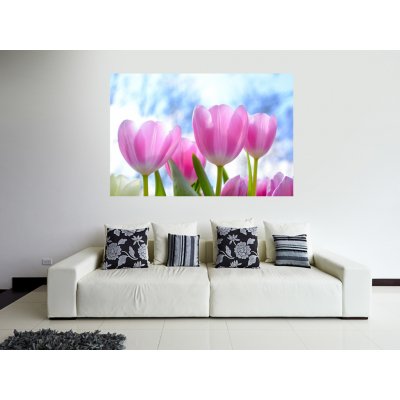 Nalepte.cz Růžové tulipány 72 x 48 cm – Hledejceny.cz