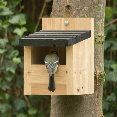 CJ Wildlife budka pro ptáky 14 x 19,9 x 20,3 cm dřevo – Hledejceny.cz