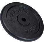 SCSports litinový kotouč 15 kg 30/31 mm – Hledejceny.cz