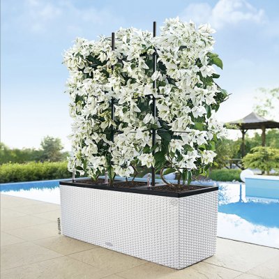Květináč Lechuza Trio Cottage 30 bílý – Zboží Mobilmania