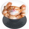 Držák na mobil PopSockets PopGrip Basic Snoozy Cat 70072