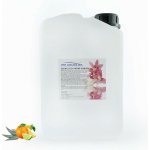 PM Aqualog esence do parních kabin eukalyptus-citrus 921-003/D 3 l – Hledejceny.cz