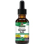 Nature's Answer Ginger Root, zázvor, extrakt, 1000 mg, 30 ml – Hledejceny.cz