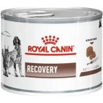 Royal Canin Veterinary Diet Cat & Dog Recovery 195 g – Sleviste.cz
