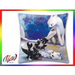 Halantex Polštář Jak vycvičit draka 0055 40x40 – Sleviste.cz