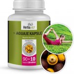 Herbavis Aguaje kapsle 100 kapslí – Hledejceny.cz
