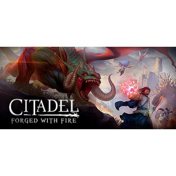 Citadel (Forged with Fire)