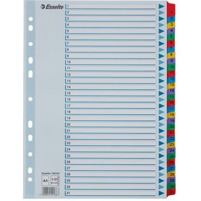 Esselte MYLAR, listy 1–31, formát A4 – Hledejceny.cz