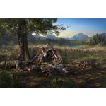 Days Gone – Zboží Živě