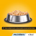 Pedigree Junior v želé 12 x 100 g – Zboží Mobilmania