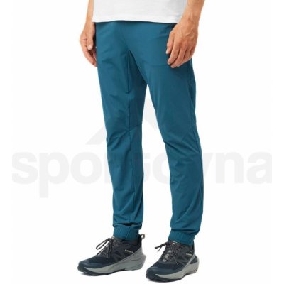 Salomon Wayfarer Ease pants M LC2209800 deep dive