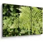 Obraz - Kapradinový list, třídílný 120x80 cm – Hledejceny.cz