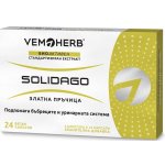 Vemoherb Solidago Zlatobýl obecný 24 kapslí – Hledejceny.cz